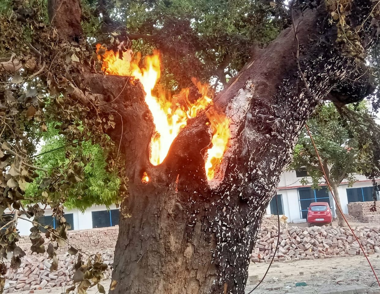 Fire in tent and tree due to spark of high tension line