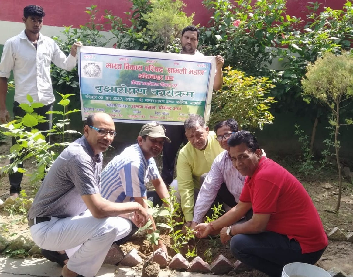 Save greenery only then we will be able to survive