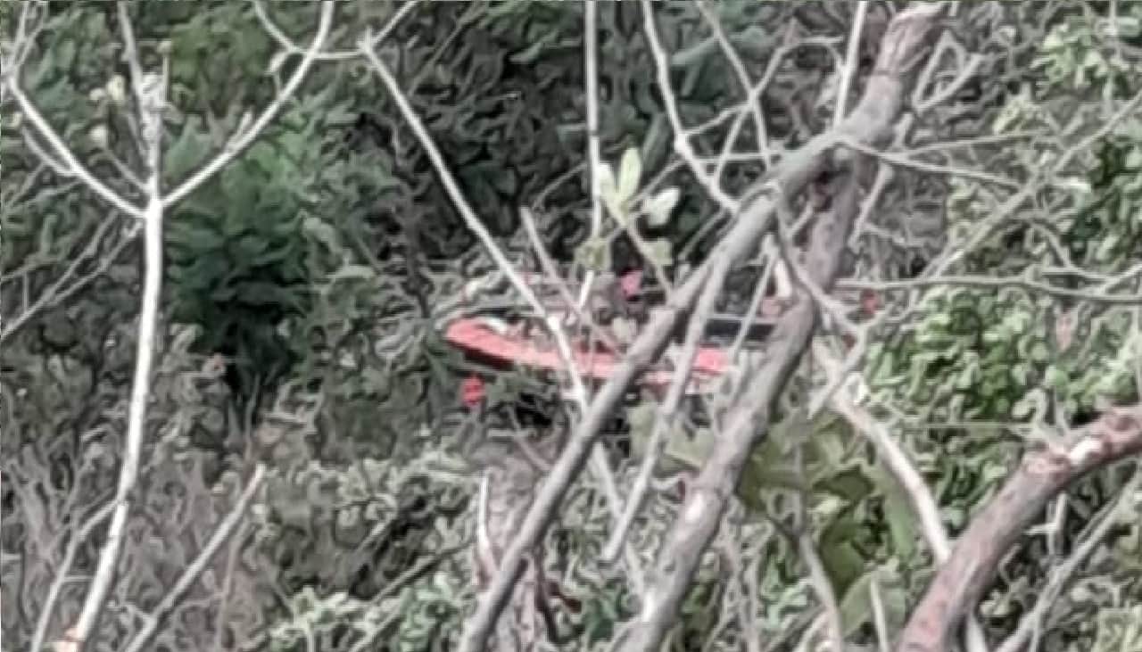 uttarakhand bus accident dead bodies were hanging on the trees See Photos