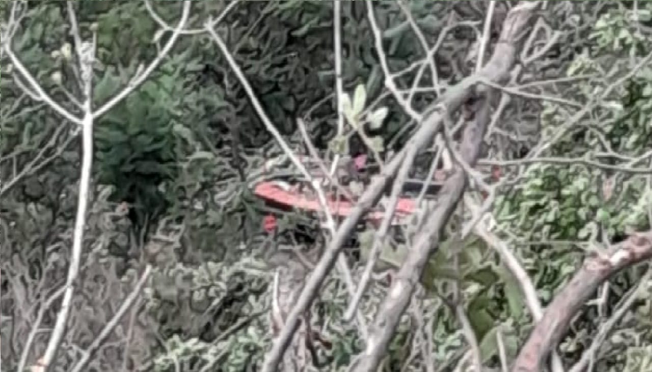 uttarakhand bus accident dead bodies were hanging on the trees See Photos