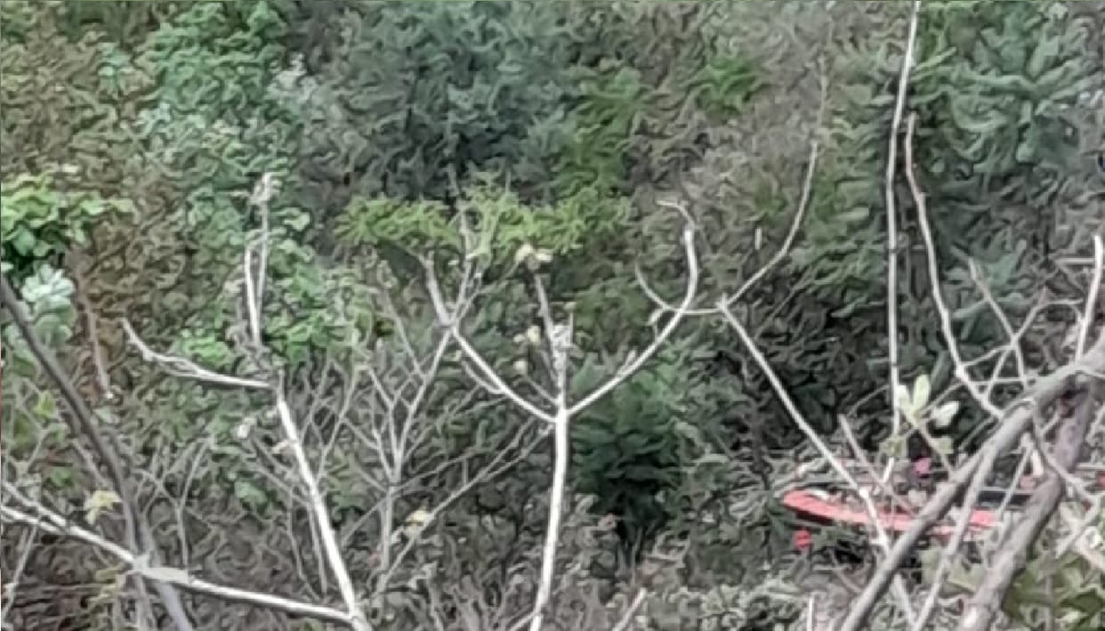 Accident: चंबा-धरासू हाईवे पर कमांद के पास हादसा, बरातियों की कार पलटने से बच्चे की मौत, मां सहित पांच घायल