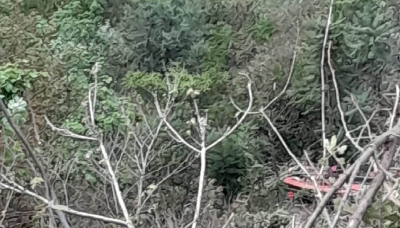 uttarakhand bus accident Yamunotri National Highway accident in Uttarakhand Bus fell into ditch