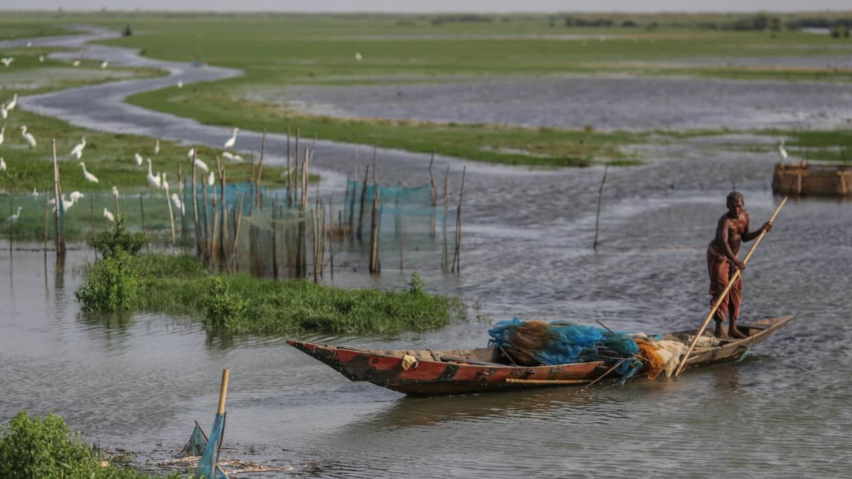 World Environment Day 2022 Young people take ownership to protect and rejuvenate Chilika lake Odisha