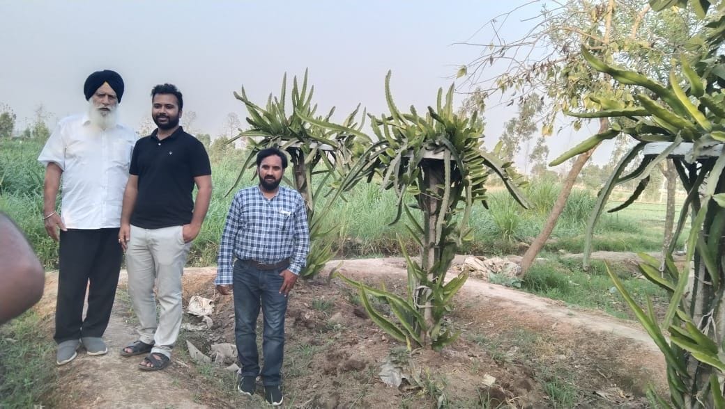 81-year-old Nirmal Singh became synonymous with change in farming