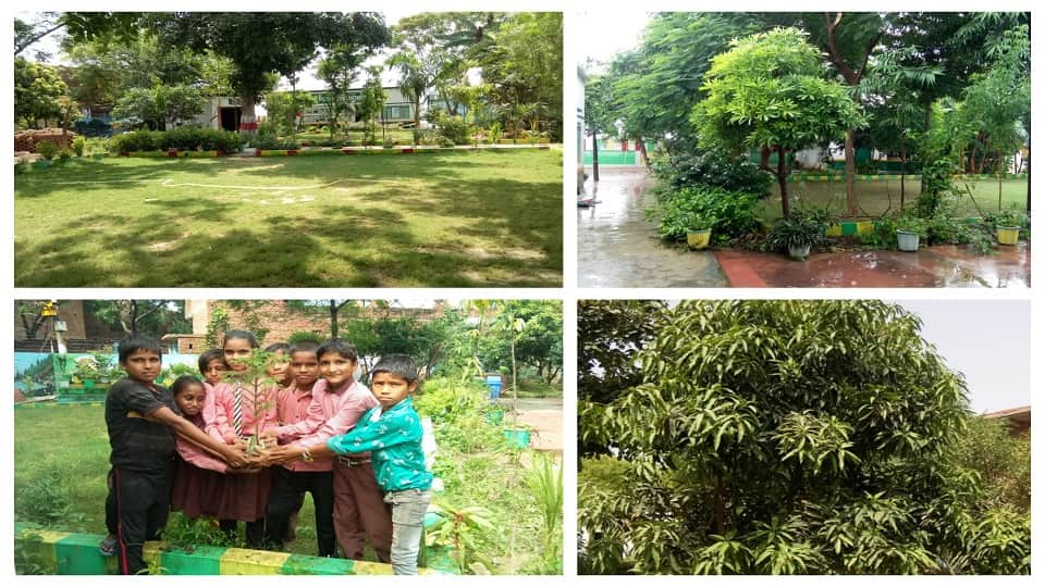 World environment day vacant land of the primary school into a garden by headmaster of the primary school Kithout Firozabad