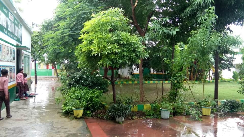 World environment day vacant land of the primary school into a garden by headmaster of the primary school Kithout Firozabad