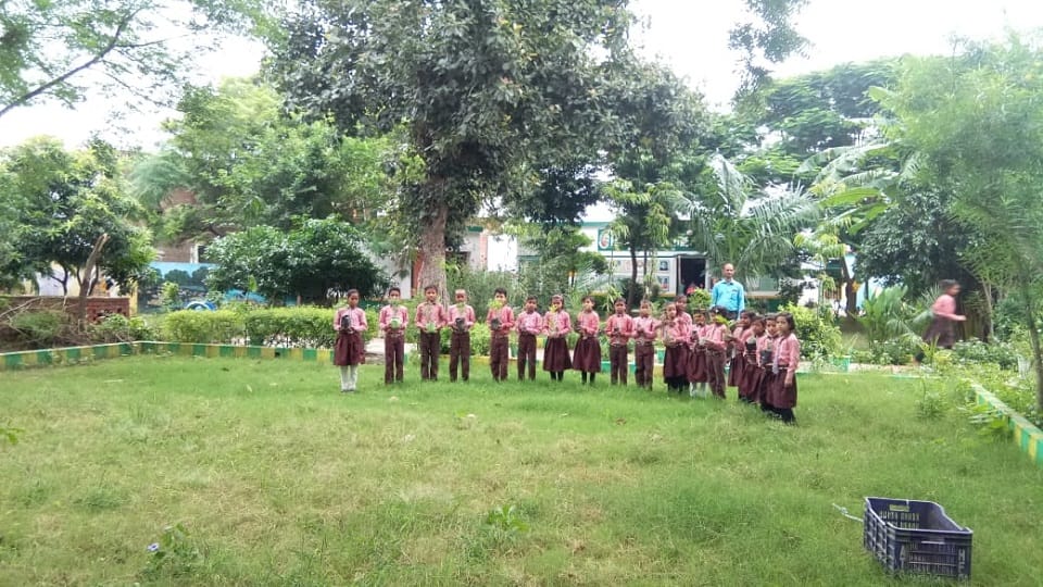World environment day vacant land of the primary school into a garden by headmaster of the primary school Kithout Firozabad