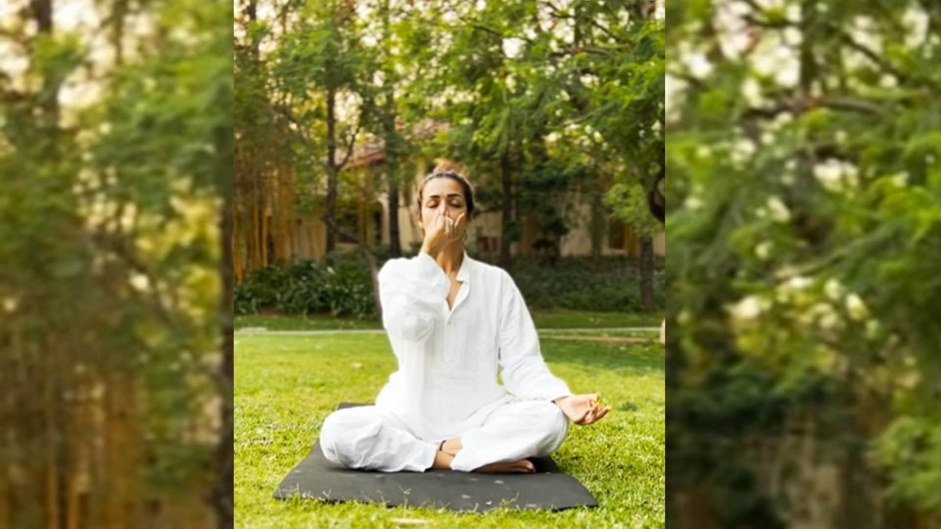 Bipasha Basu shilpa shetty to malaika arora Who Performs New Exercises Including Daily Yoga Know What Is Diet Plan And Workout