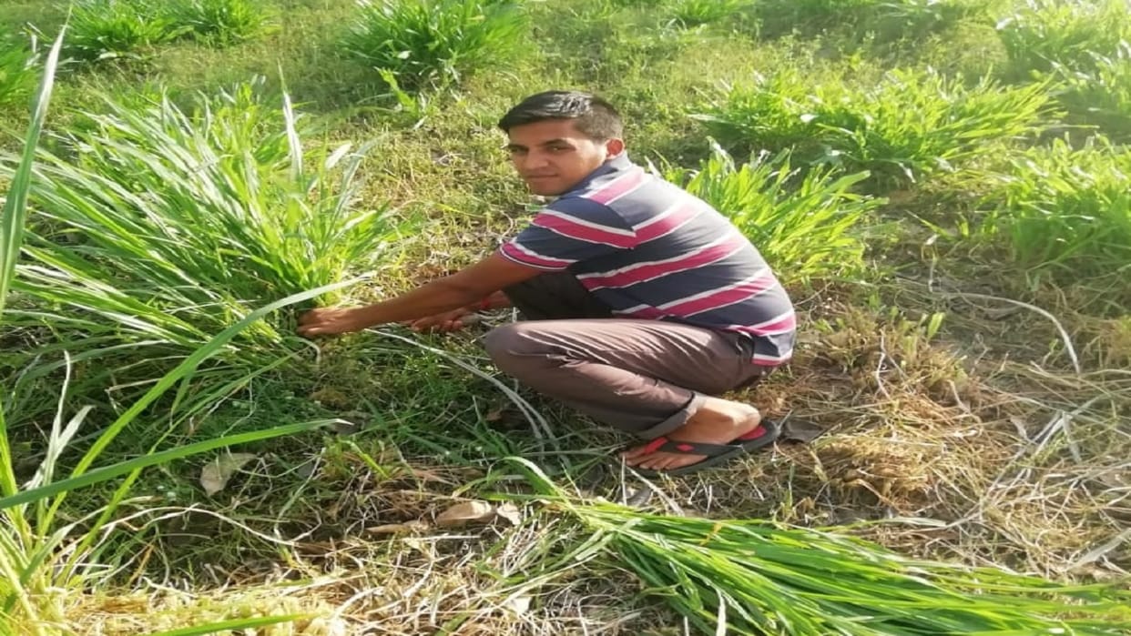 Sarvesh Gangwar a progressive farmer of Nawabganj in Bareilly is getting success by doing organic farming.