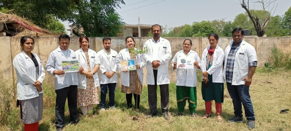 tree plantation