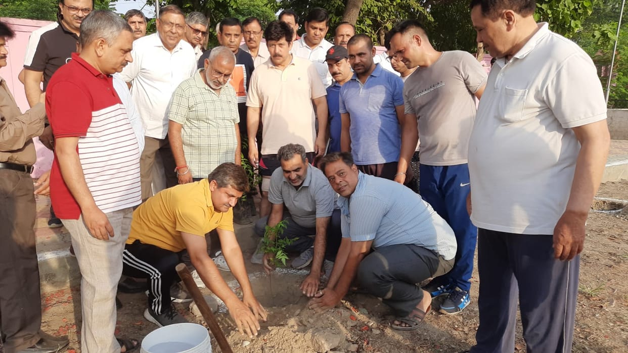 Pledge to take care by planting saplings to save the environment