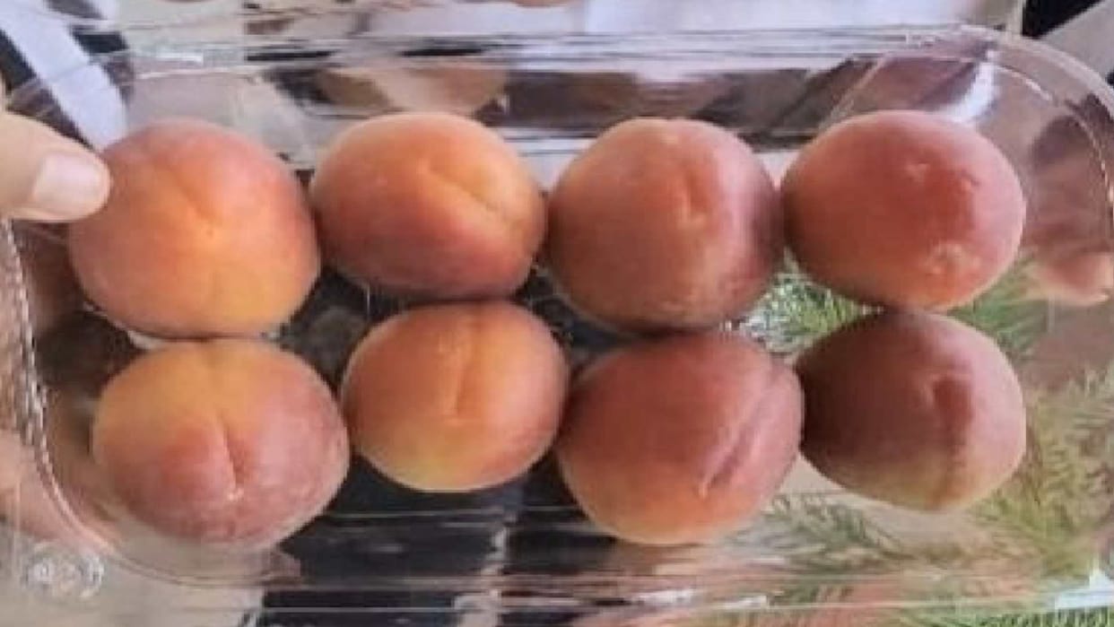 Horticulture Himachal: 750 grams pennant of Red Bolero Khumani sold for Rs 150