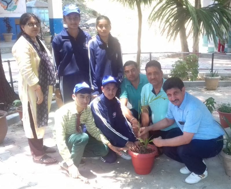 mandi news, himachal news, prajjawal emvironment, pocket money