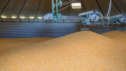 Several Good Decision should be taken to secure the grain in the government reserves