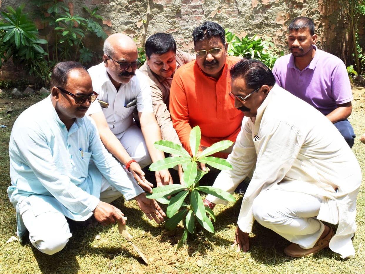 resolve to keep the environment pollution free