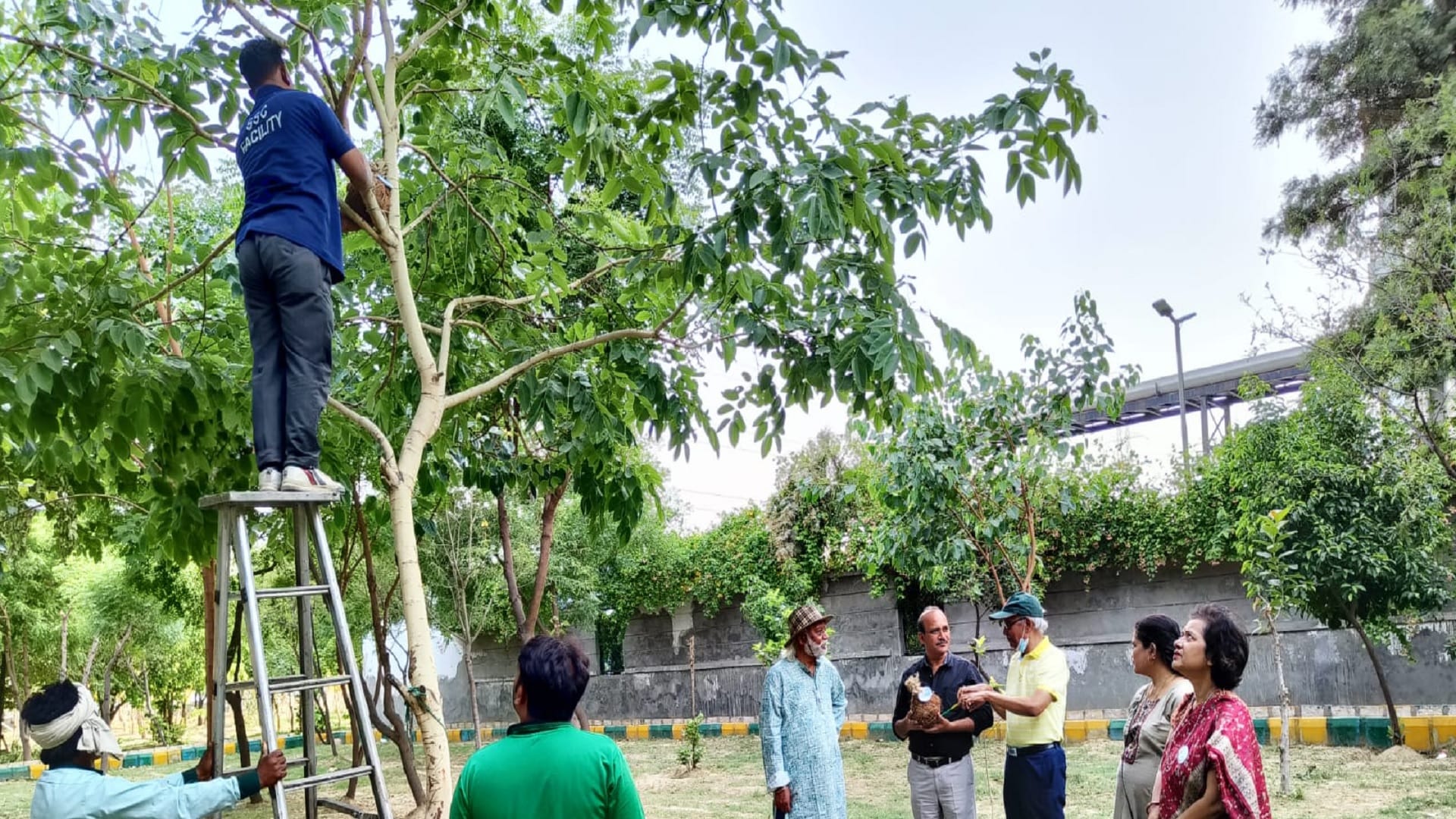 World Environment Day conservation of sparrows samvedna foundation