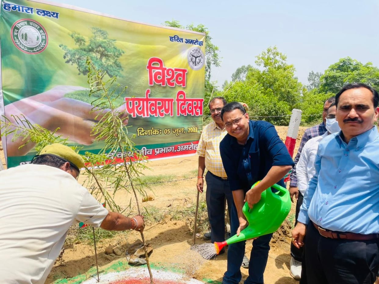 Trees are life, there is nothing more sacred than planting them: DM