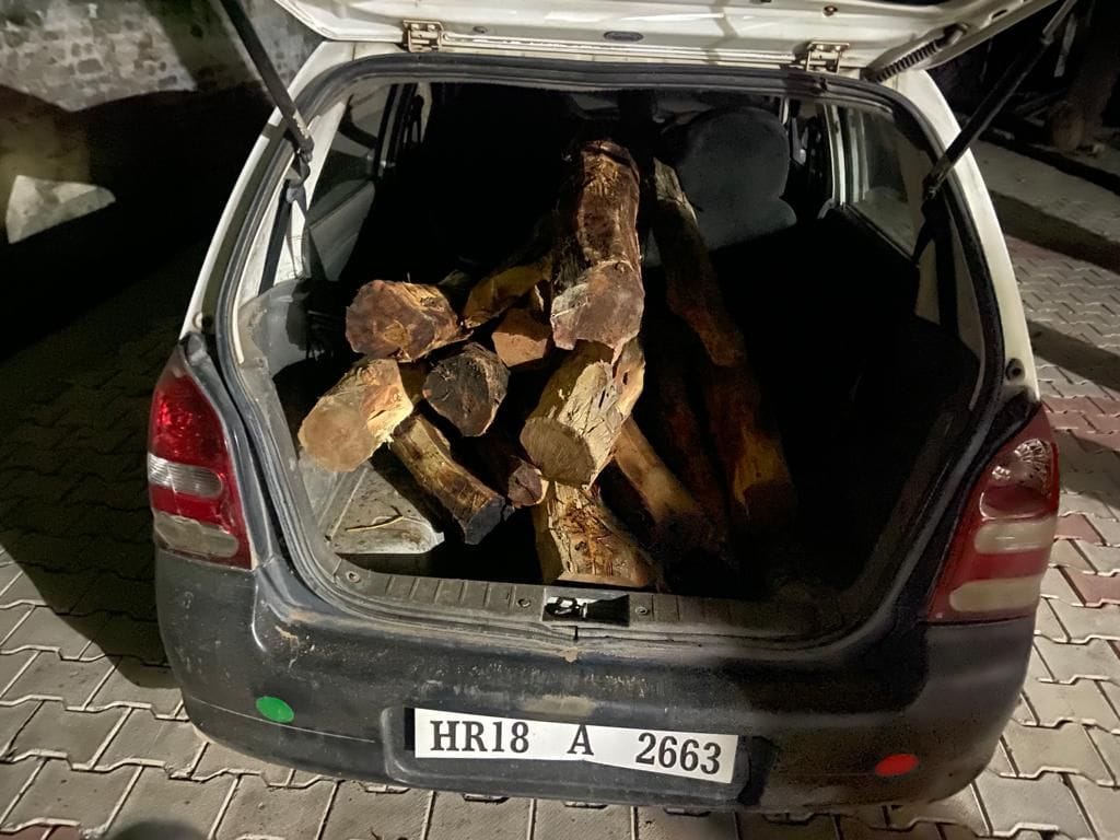 The forest department's team blocked the car and caught a car full of khair wood.