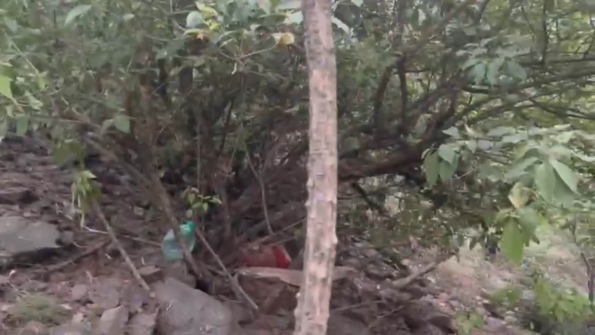 Uttarakhand Bus Accident Lost control while passing another vehicle