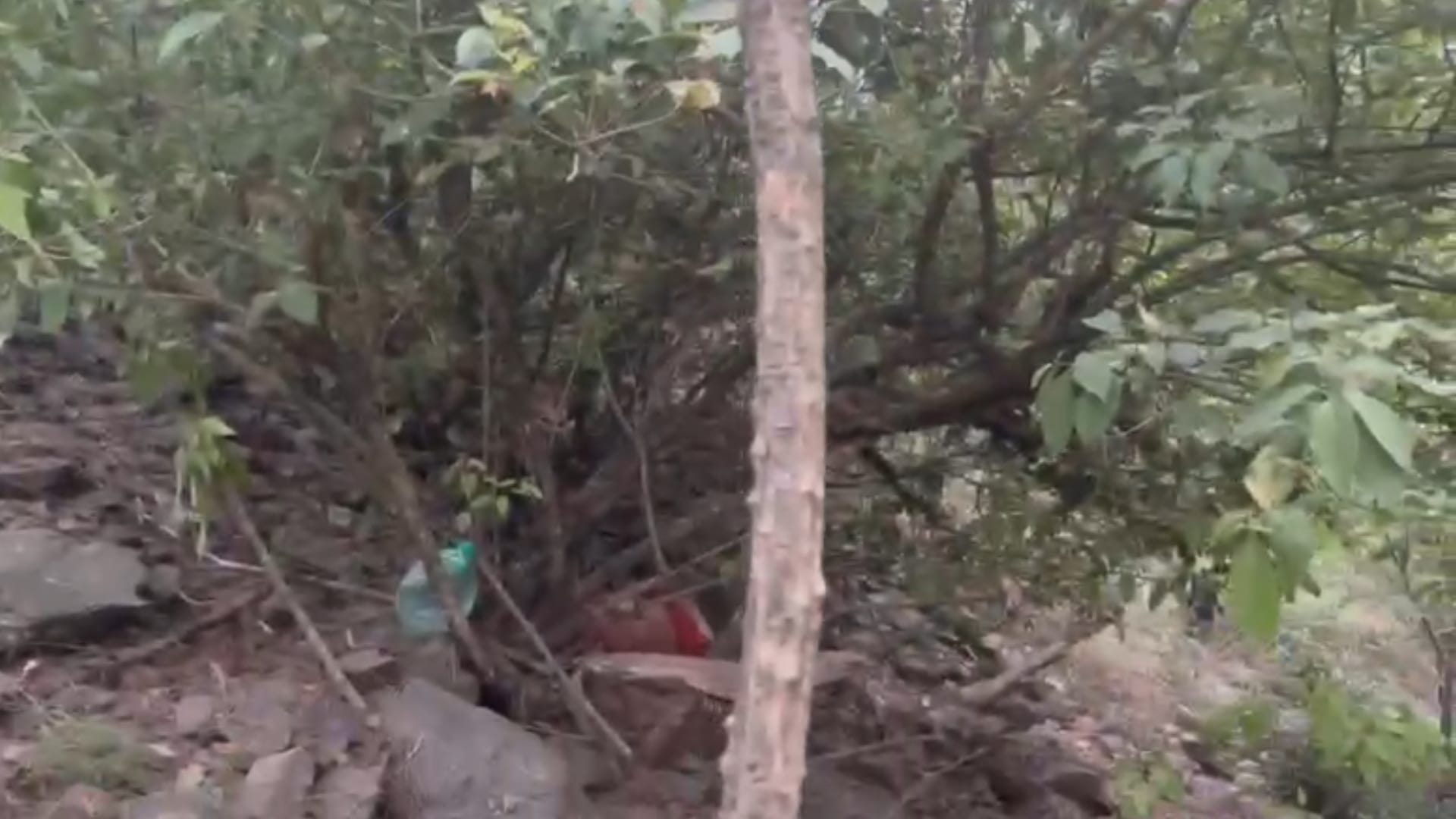 Uttarakhand Bus Accident Update screams of the pilgrims had stopped before help arrived
