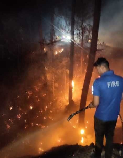 Mankot forest fire