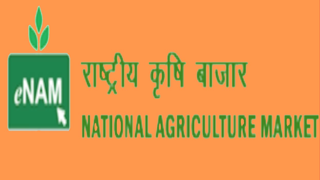 ENAM Mandis: Online business of apple will be done in Himachal after July 25