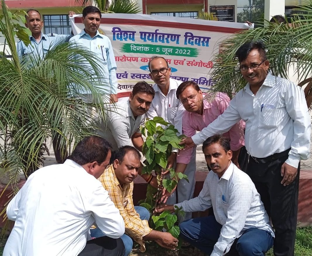 Environment lovers planted greenery