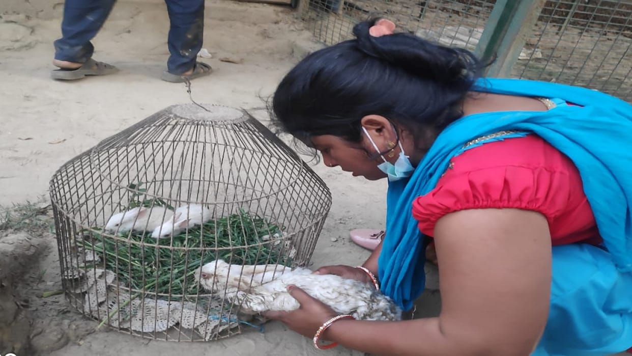 Police found stolen rabbit in Sahibabad police station area of Ghaziabad