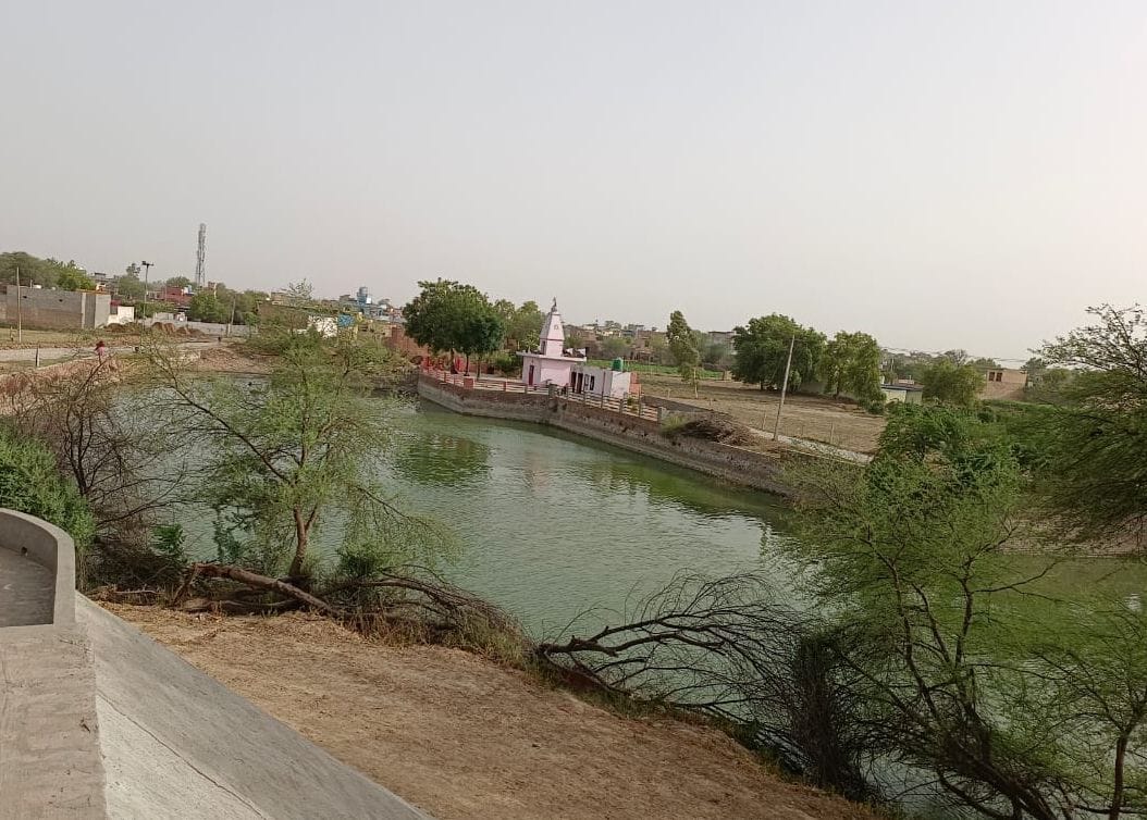 Johads were renovated, now it is the turn of greenery