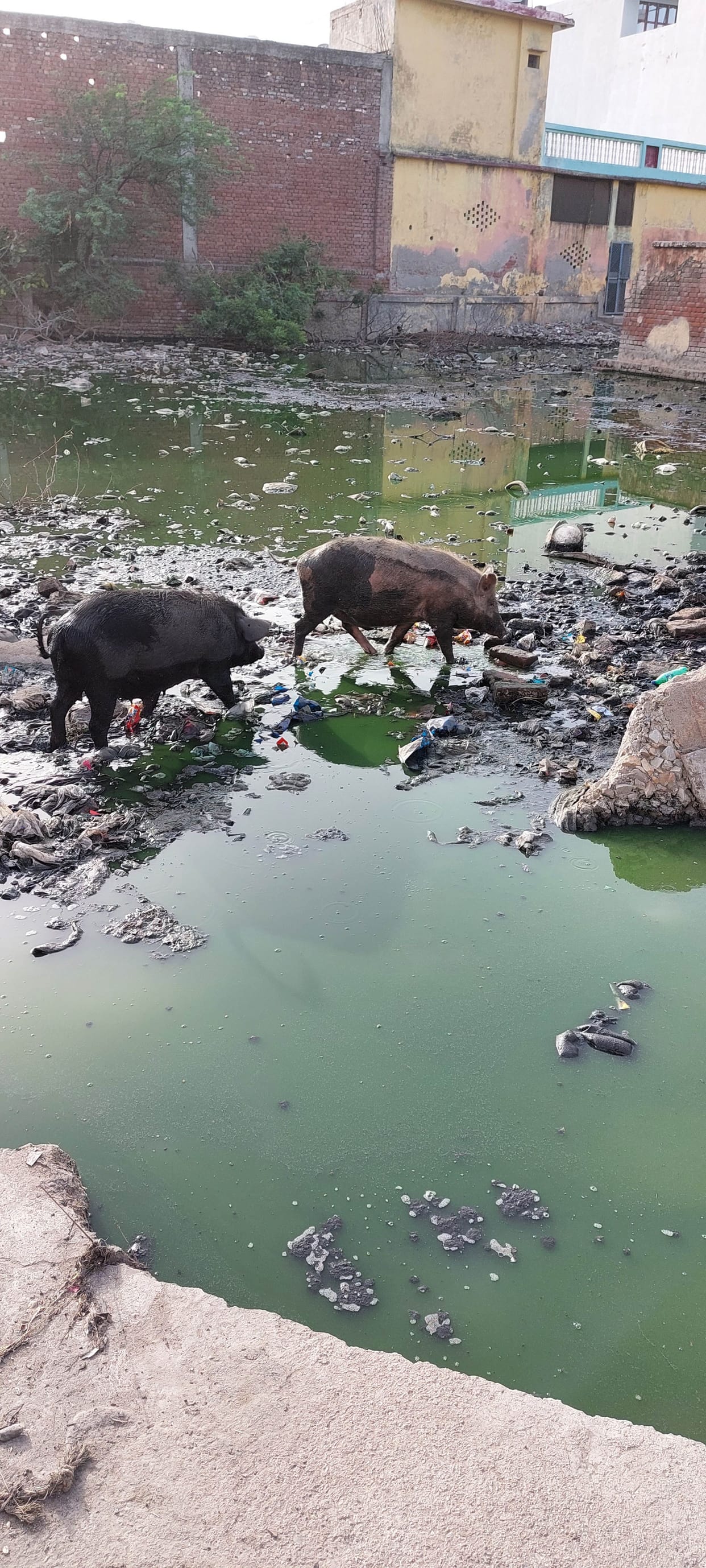 Hathras: The building was built by bridging the pond, people's life became hellish