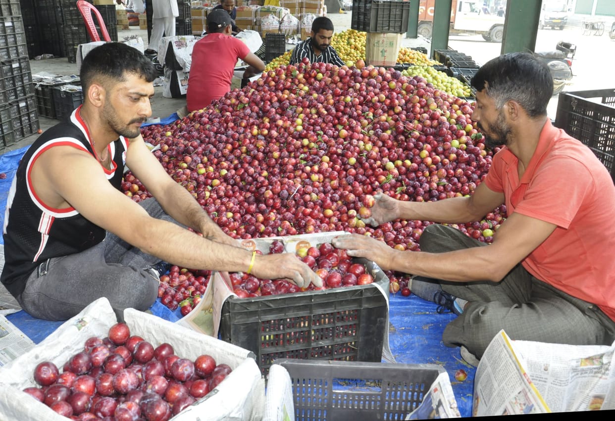 Plum rates increased by fifteen rupees in a week