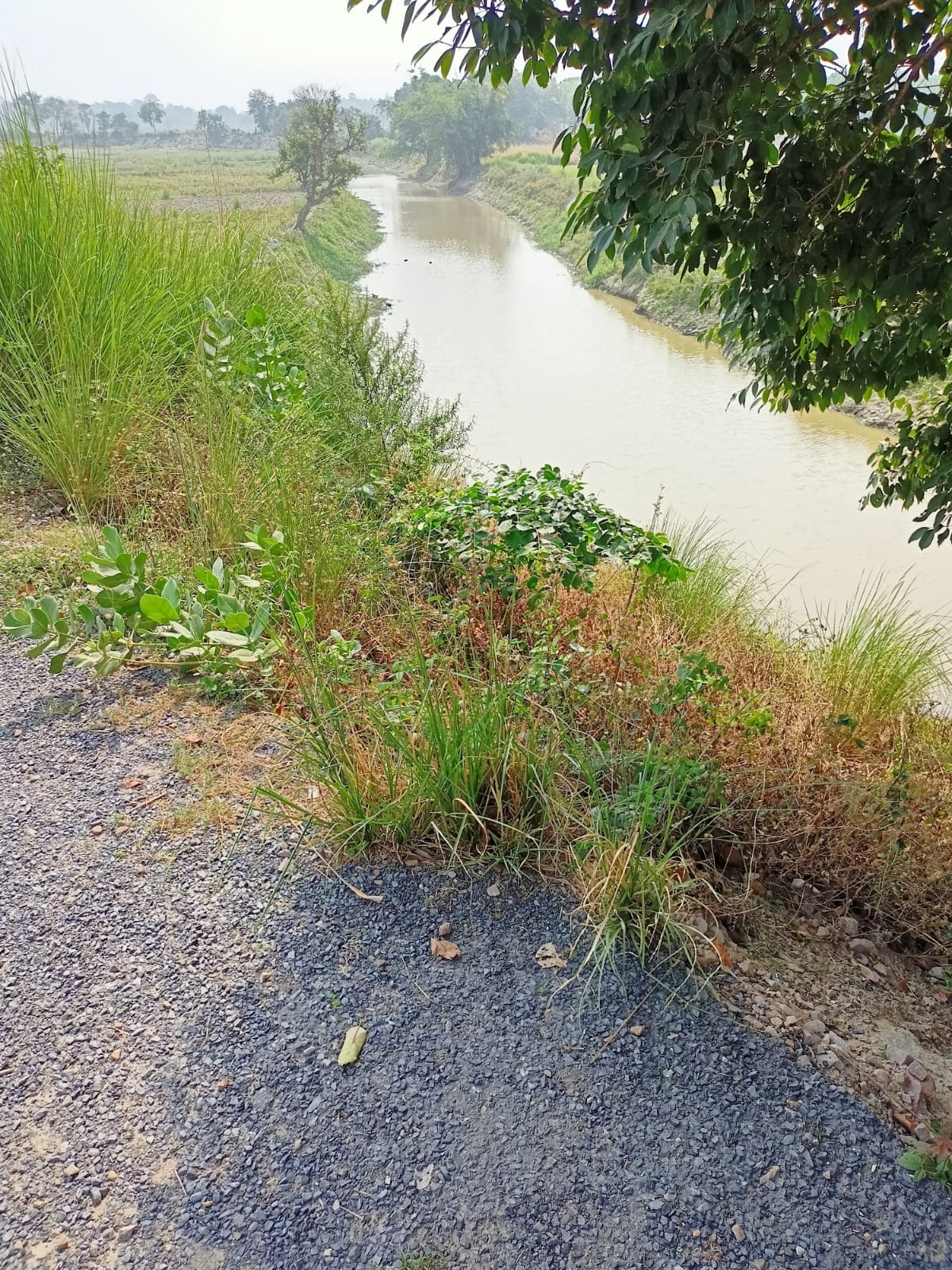 Water is not falling in Tamsa river due to non-excavation of small Saryu river