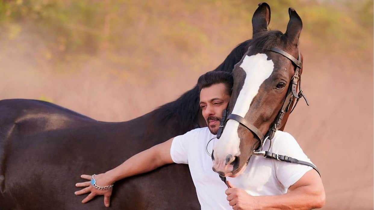 Salman Khan Lifestyle Charge Per Movie And His Net Worth All Details In Hindi 