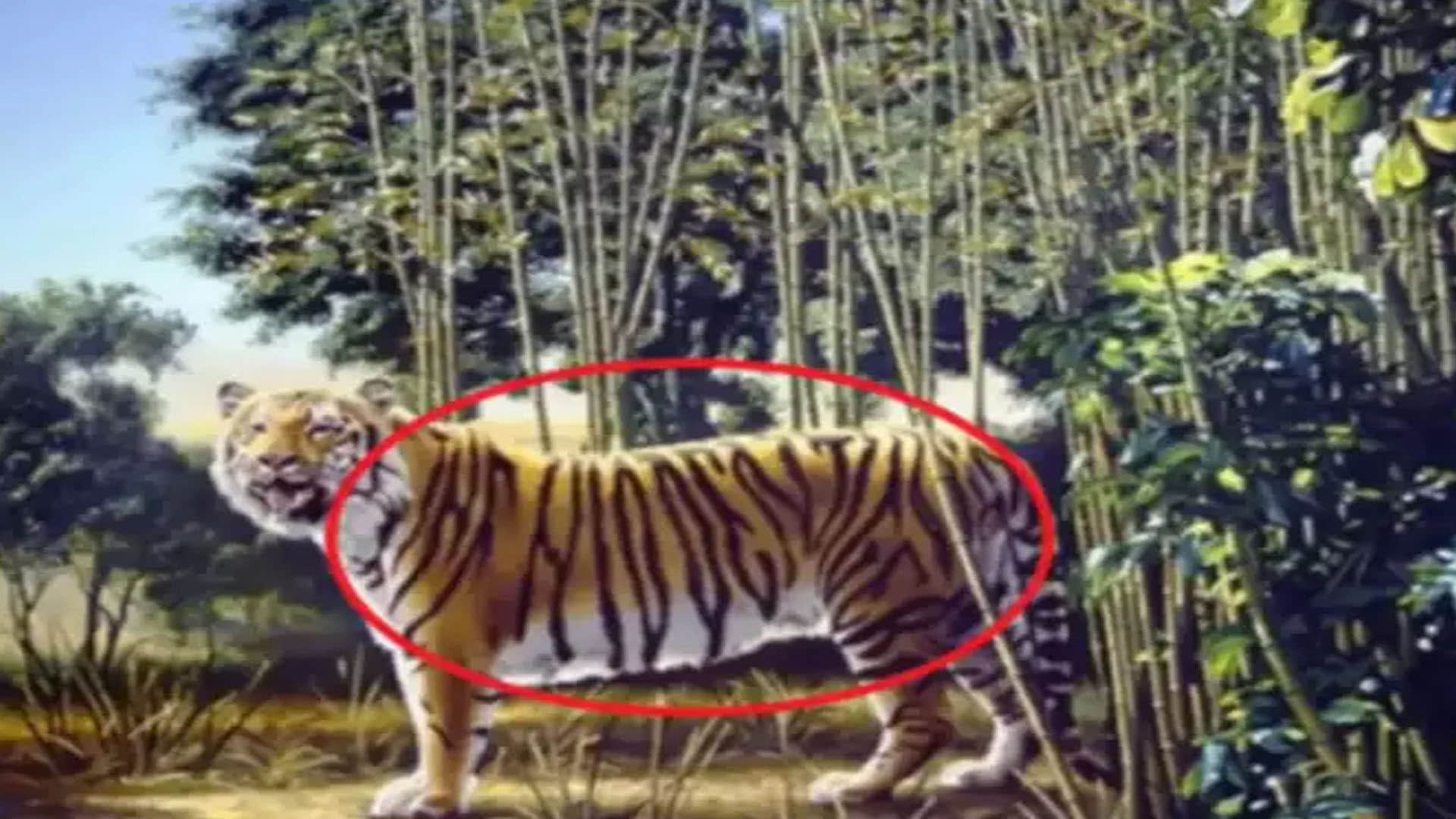 Optical Illusions: There Are 2 Tigers in This Optical Illusion Can You Find the Second One