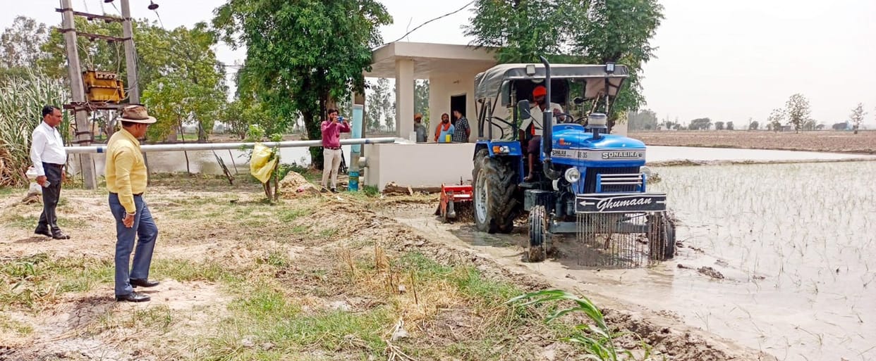 early paddy crop destroyed