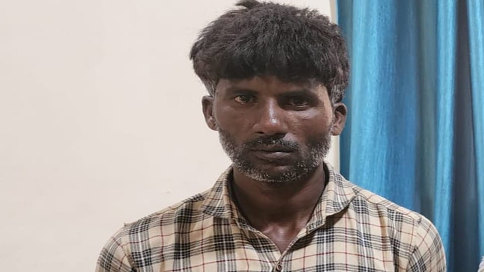 Police encounter with animal thief gang stealing buffalo in Agra