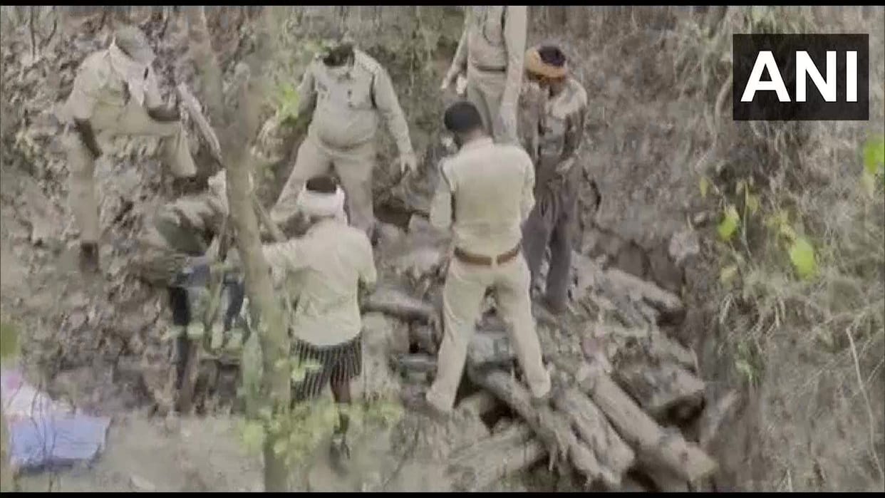 Chhattisgarh: Tiger dies after eating poisonous buffalo meat, four accused arrested