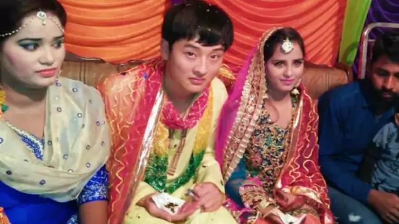 Pakistan Economy Know Why Pak Export Goat and Donkey to UAE and China Full Details News in Hindi