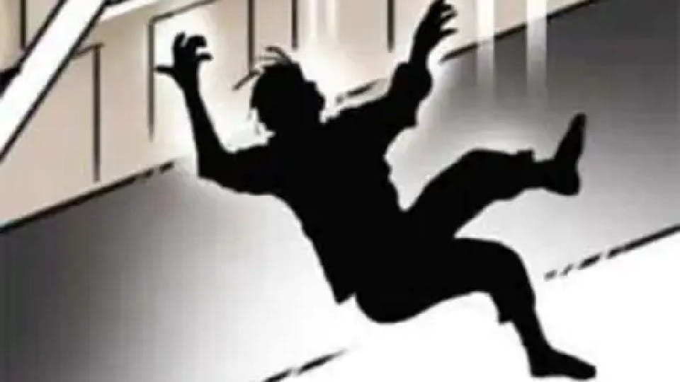 Man catches younger brother who fell from terrace of house in Kerala
