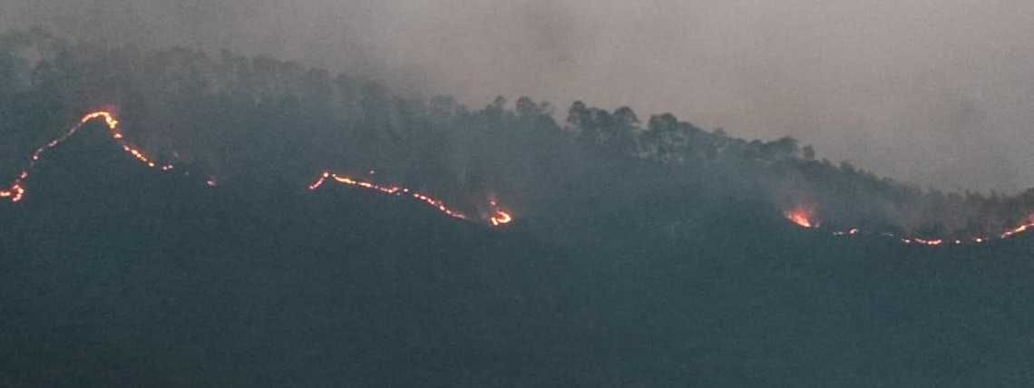 Fire in jungle.