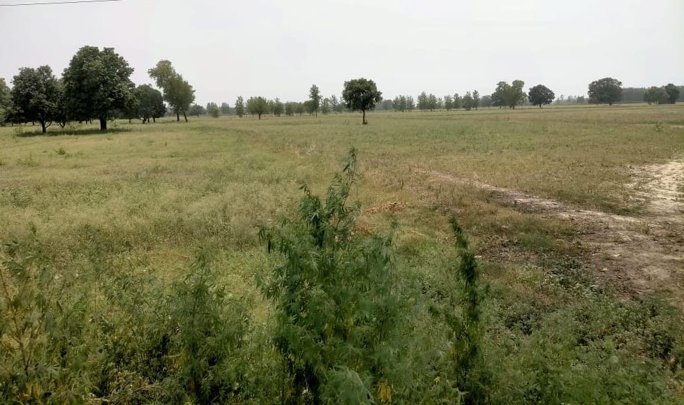 Preparations begin to appoint a consultant for PAC Camp Firing Range