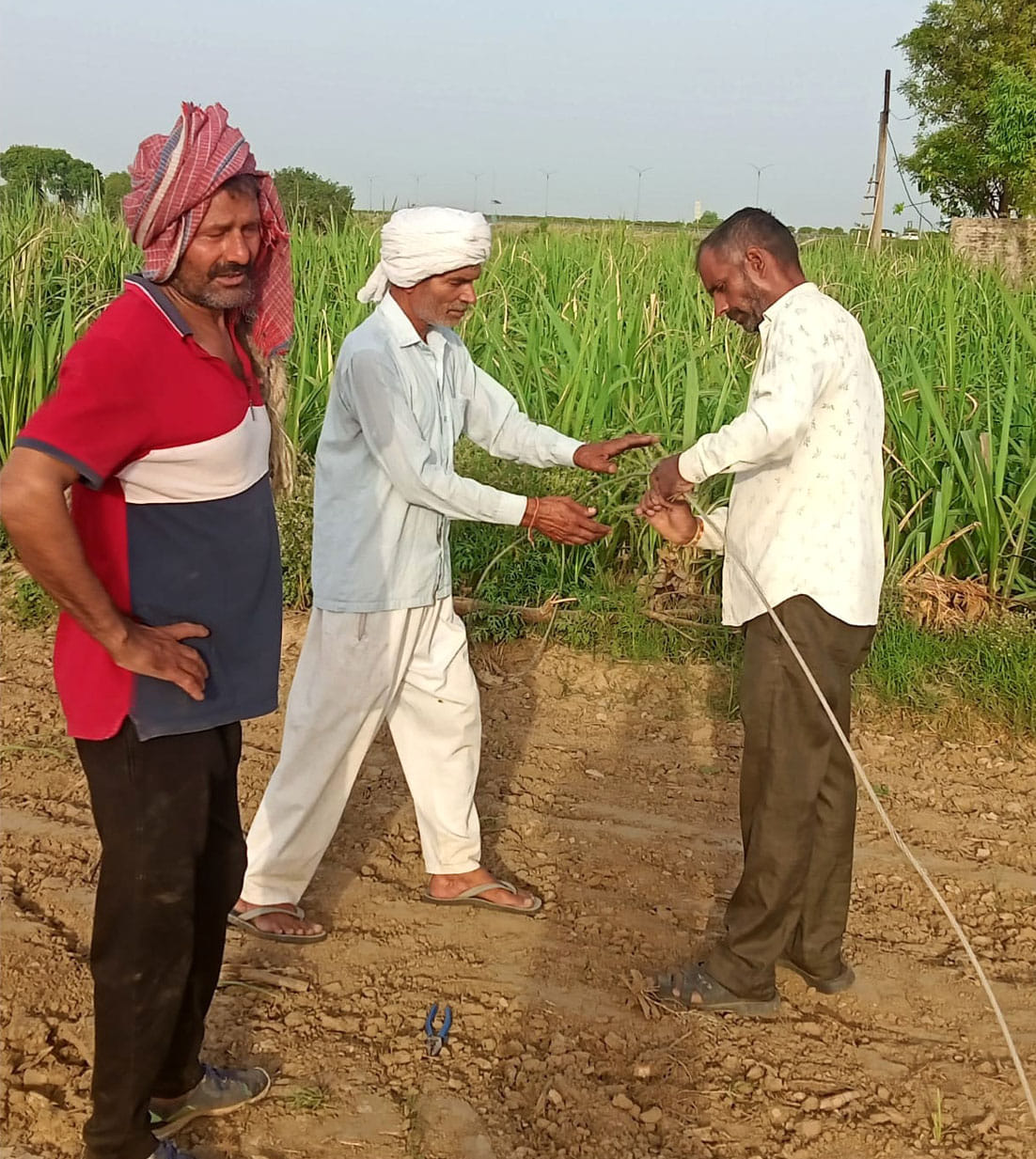 Lineman asked for convenience fee, then the farmers themselves added the broken wire