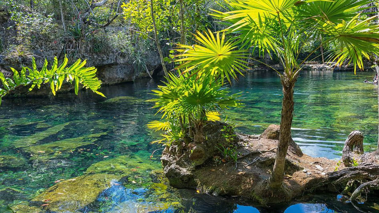 World Ocean Day: Most Mysterious Places in the Oceans Know More in Hindi