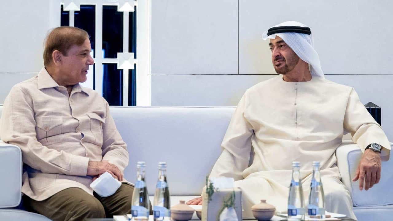 Pakistan Economy Know Why Pak Export Goat and Donkey to UAE and China Full Details News in Hindi