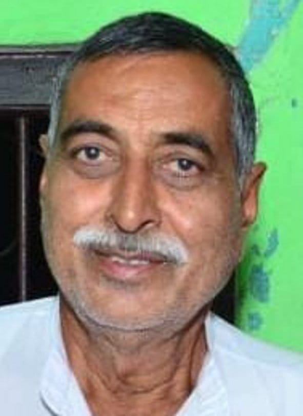Retired teacher dies after falling from roof in monkey attack