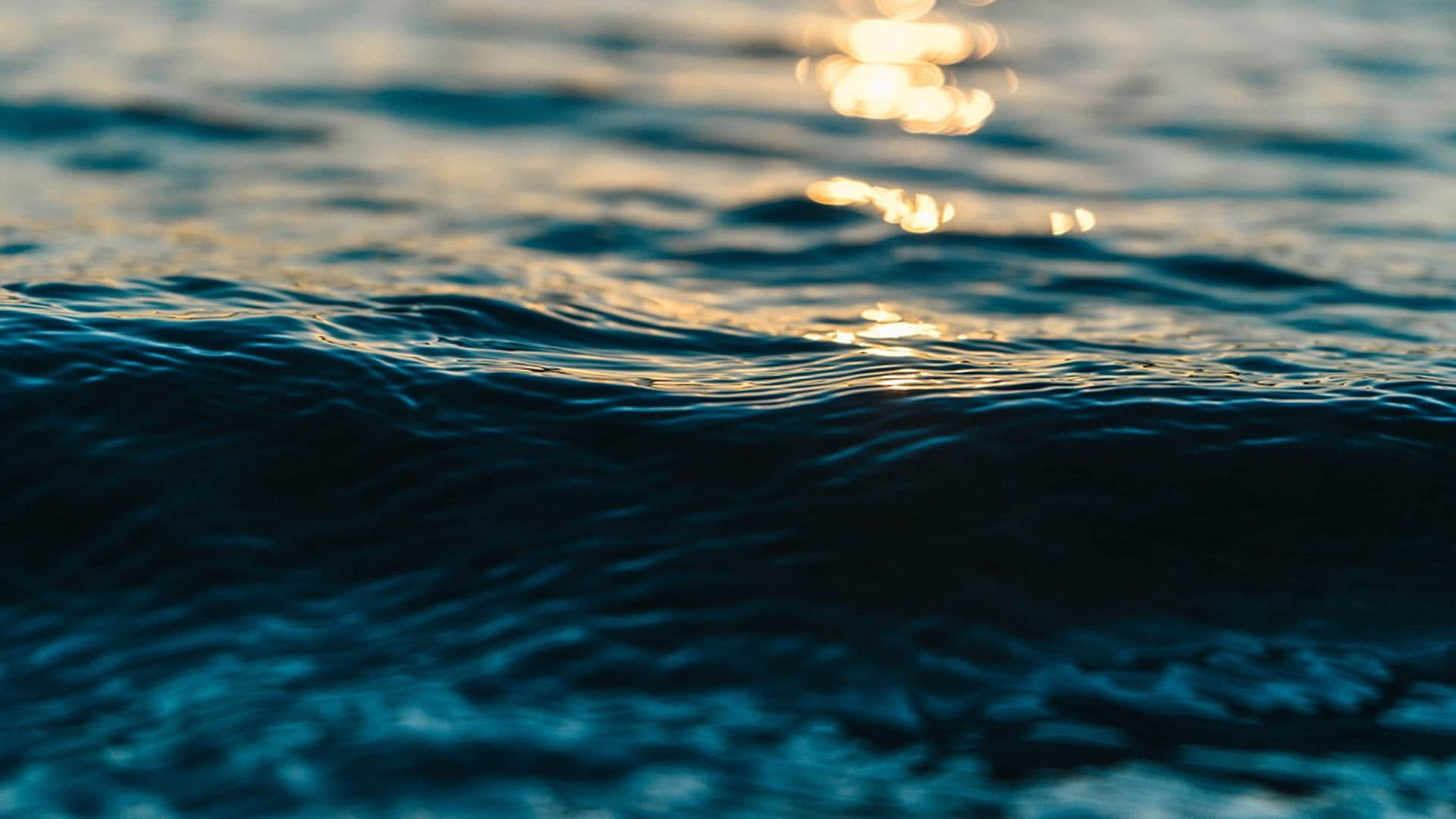 World Ocean Day 2022 Know About History Significance Importance and Theme News in Hindi