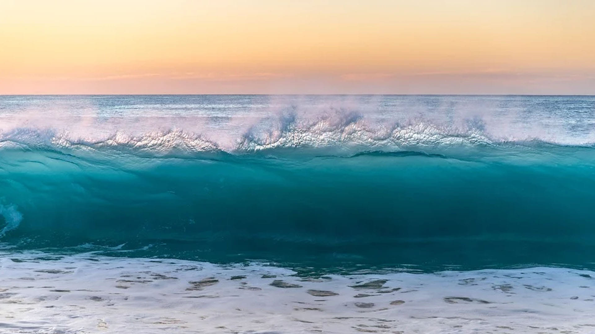 World Ocean Day 2022 Know About History Significance Importance and Theme News in Hindi