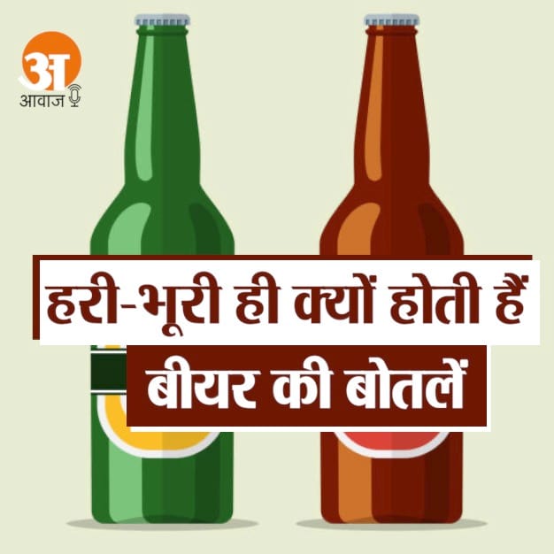 बीयर