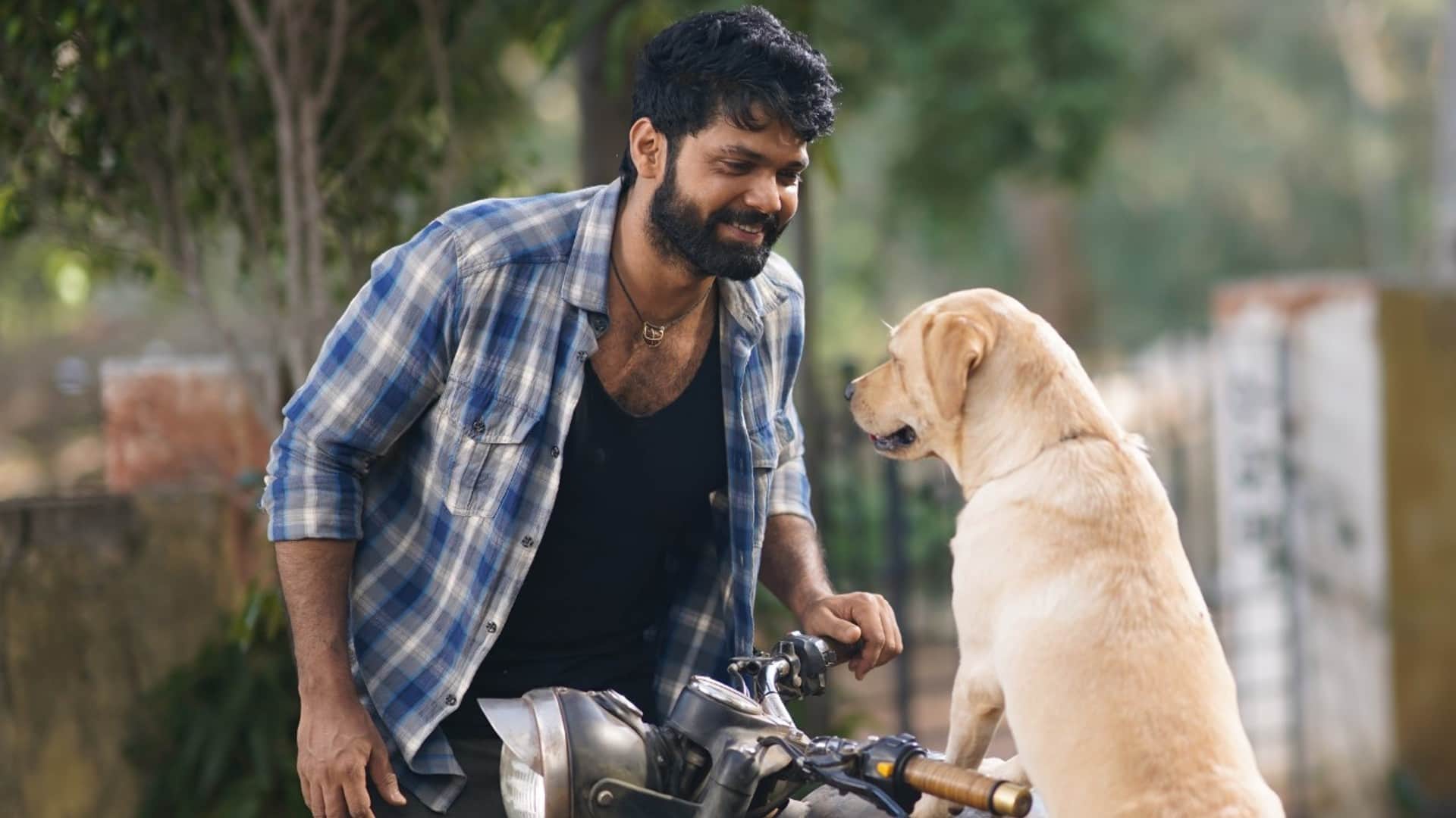777 Charlie OTT Release Date rakshit Rakshit Shetty film Will Stream On Amazon Prime