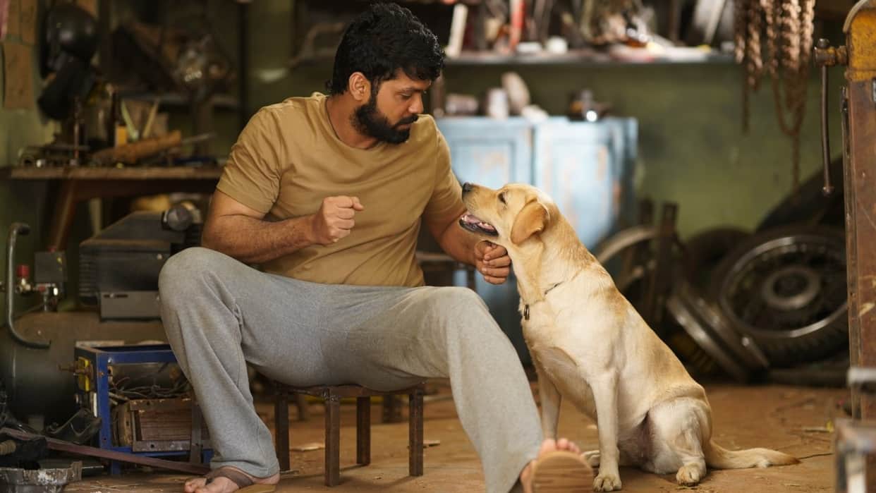 777 Charlie OTT Release Date rakshit Rakshit Shetty film Will Stream On Amazon Prime